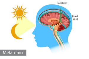 Melatonin Is More Than a Sleeping Aid