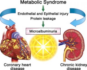 Kidney Disease, Another Complication Of Metabolic Syndrome