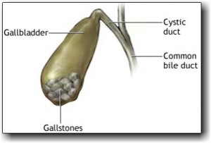 Nuts To Bust Gallstones Says Harvard