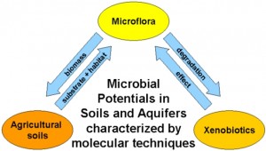 Environmental Toxins Harmful For Generations To Come