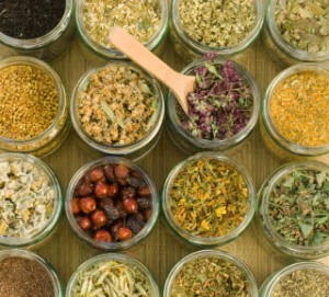 Knowledge Needed For Herbal Remedies