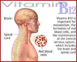 Check For Vitamin B12 Deficiency In Elderly