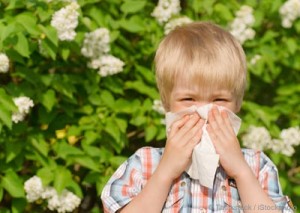 Allergies Not Only In Spring
