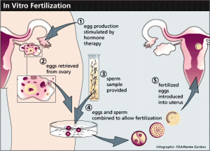 In Vitro Fertilization As A Last Resort To Get Pregnant