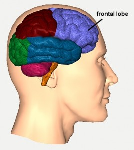 Healthy Choices Start In Your Brain