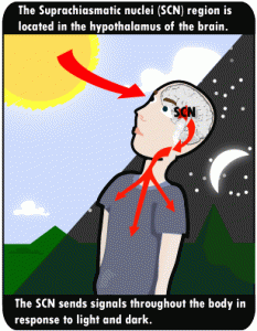 Being SAD in Fall (Seasonal Affective Disorders)