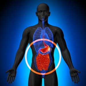 The Gut and Brain Connection