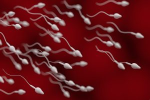 Decreased Sperm Counts In Men