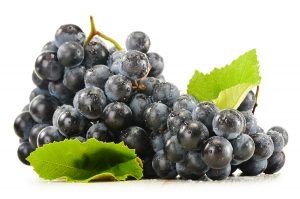 Resveratrol Effective In Humans