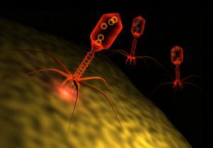 Phage Therapy Against Superbugs