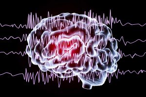 Two Proteins Responsible For Getting Epilepsy