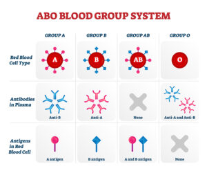 Blood Type Has Some Bearing on the Severity of Covid-19 Coronavirus