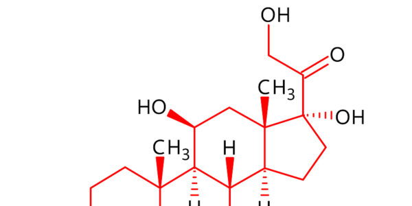 Cortisol is the Number 1 Longevity Hormone