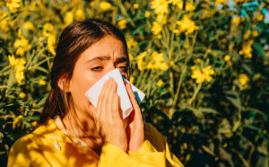 Allergies Not Only In Spring