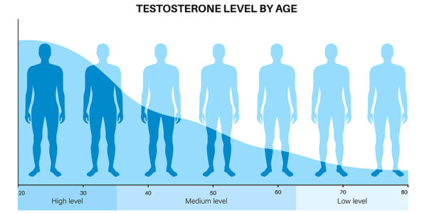 What you Must Know about Male Hormones